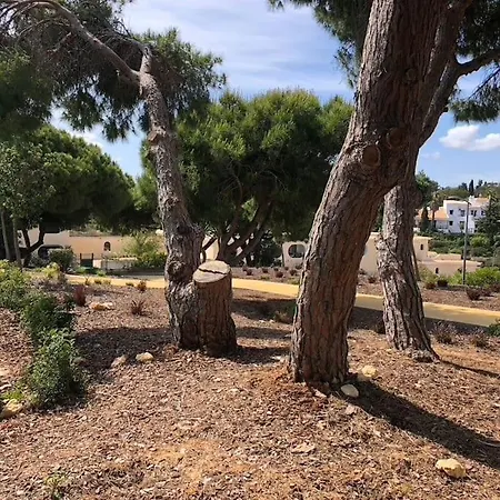Centeano Διαμέρισμα *